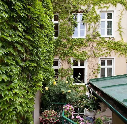Fink Budget Bécs